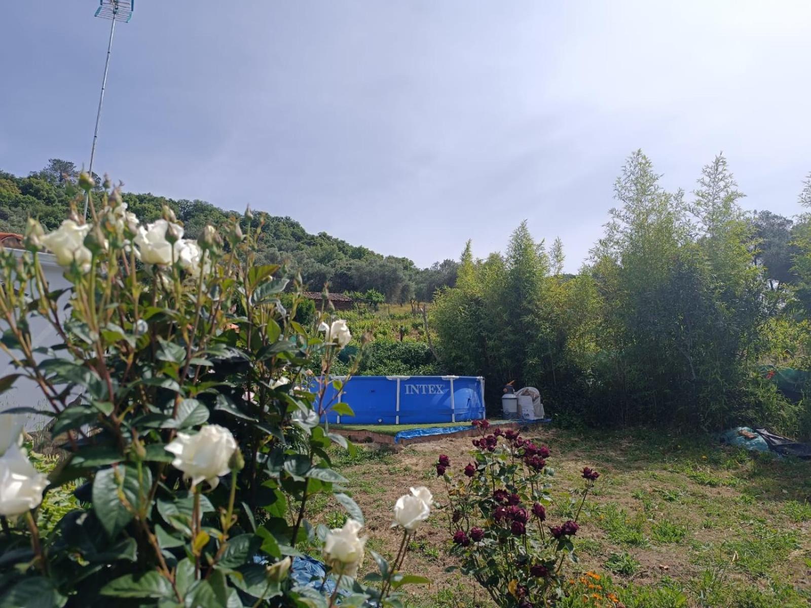 Finca del Abu