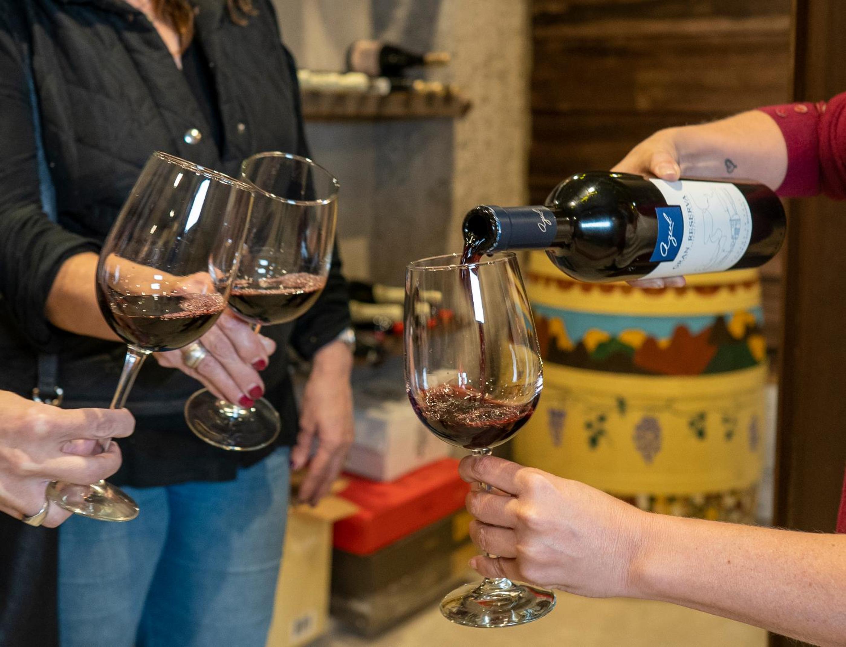 Ayres de Uco Lodge & Wine Lovers