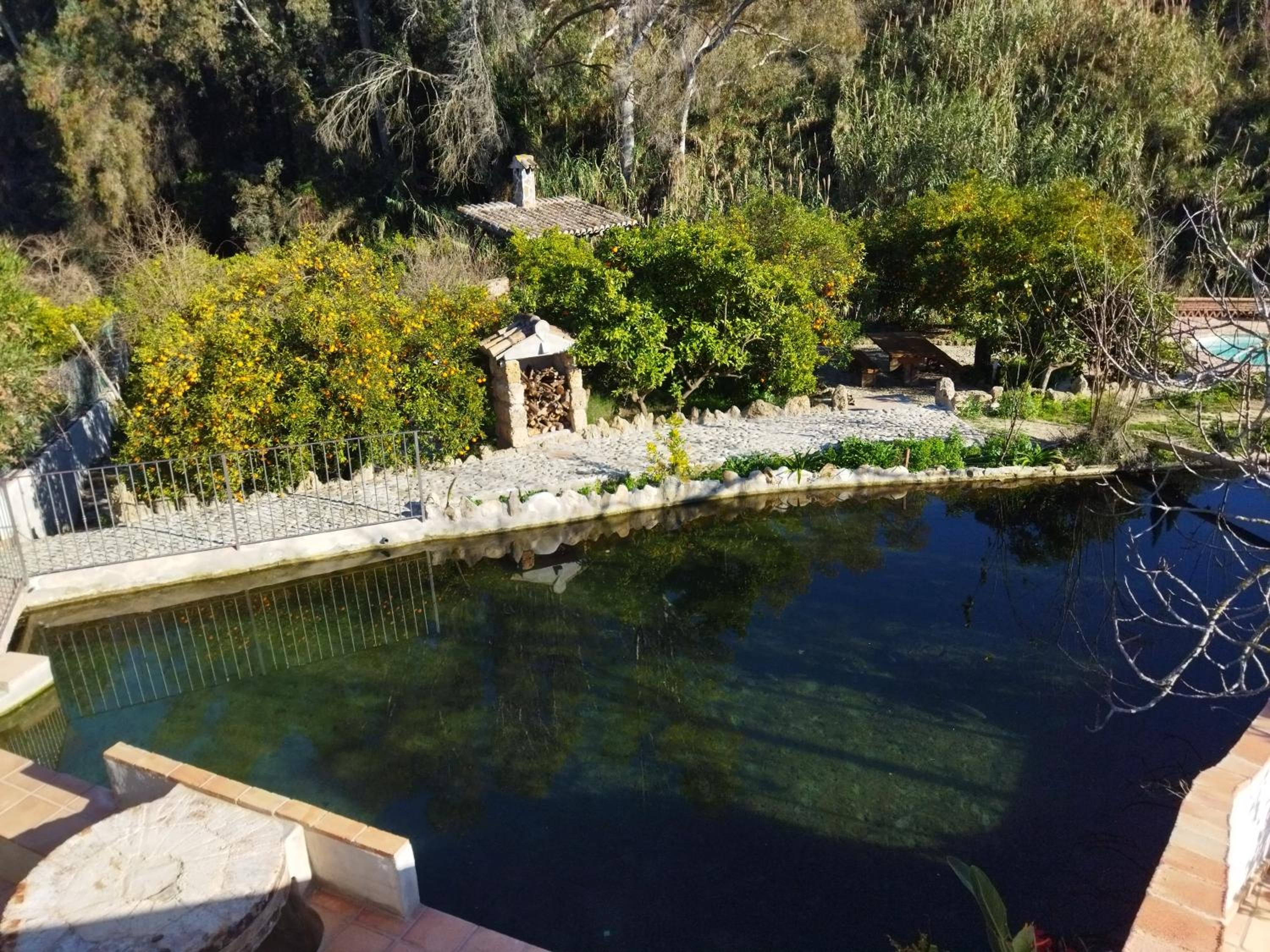 La terraza