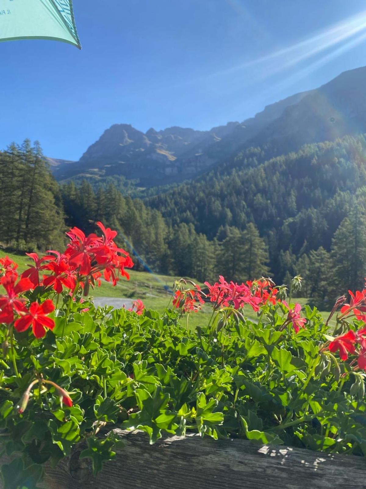 Studio magnifique avec terrasse spacieuse et jardin Loèche-les-Bains Vacances
