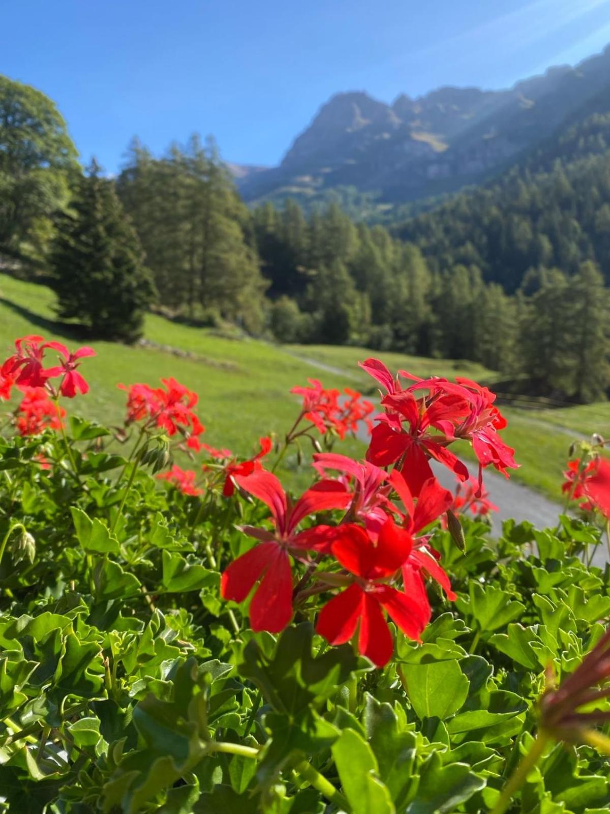 Studio magnifique avec terrasse spacieuse et jardin Loèche-les-Bains Vacances