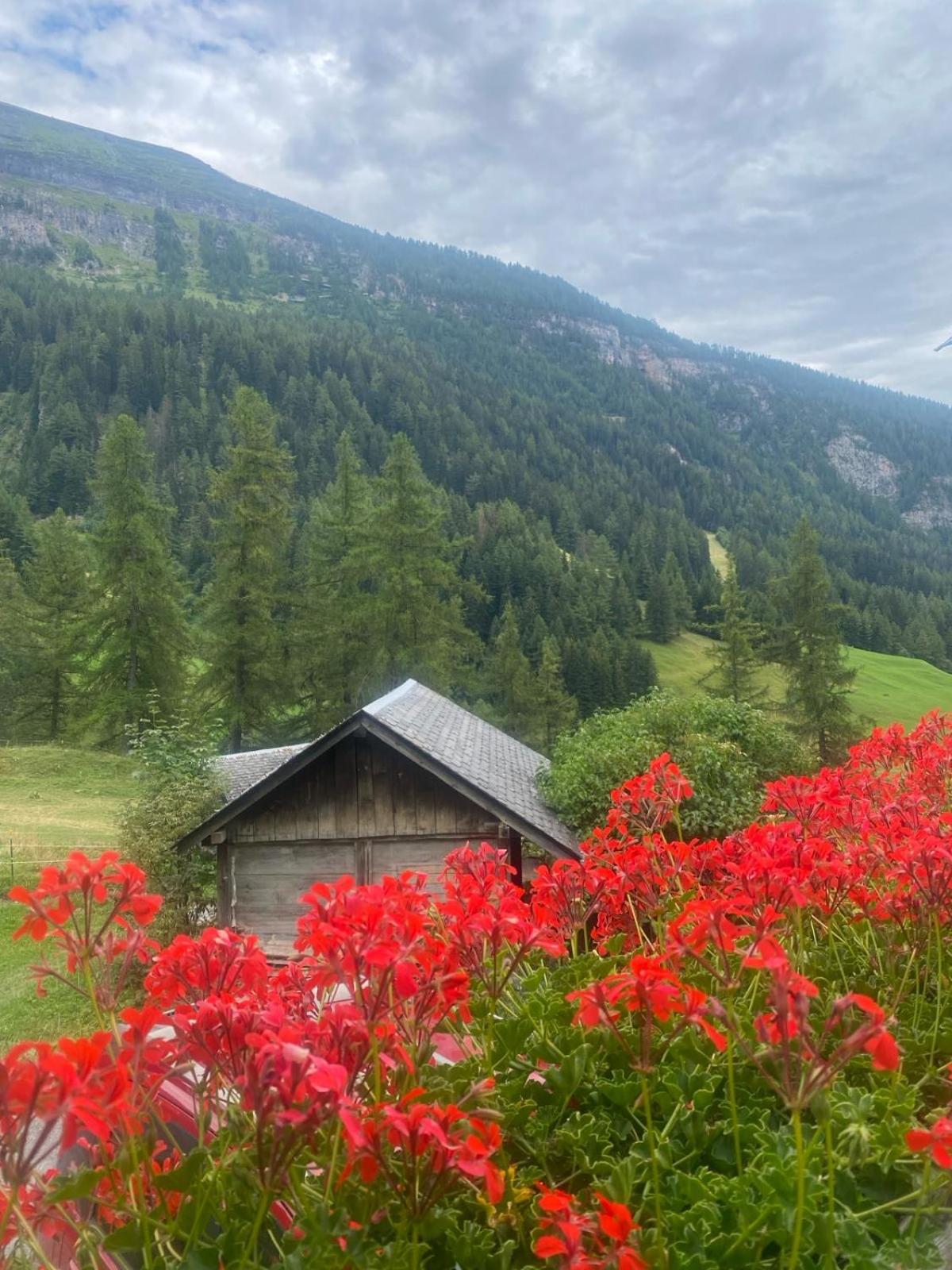Studio magnifique avec terrasse spacieuse et jardin Loèche-les-Bains Vacances