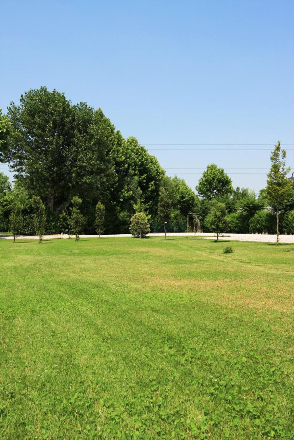 Agriturismo B&B Il Girasole view 5