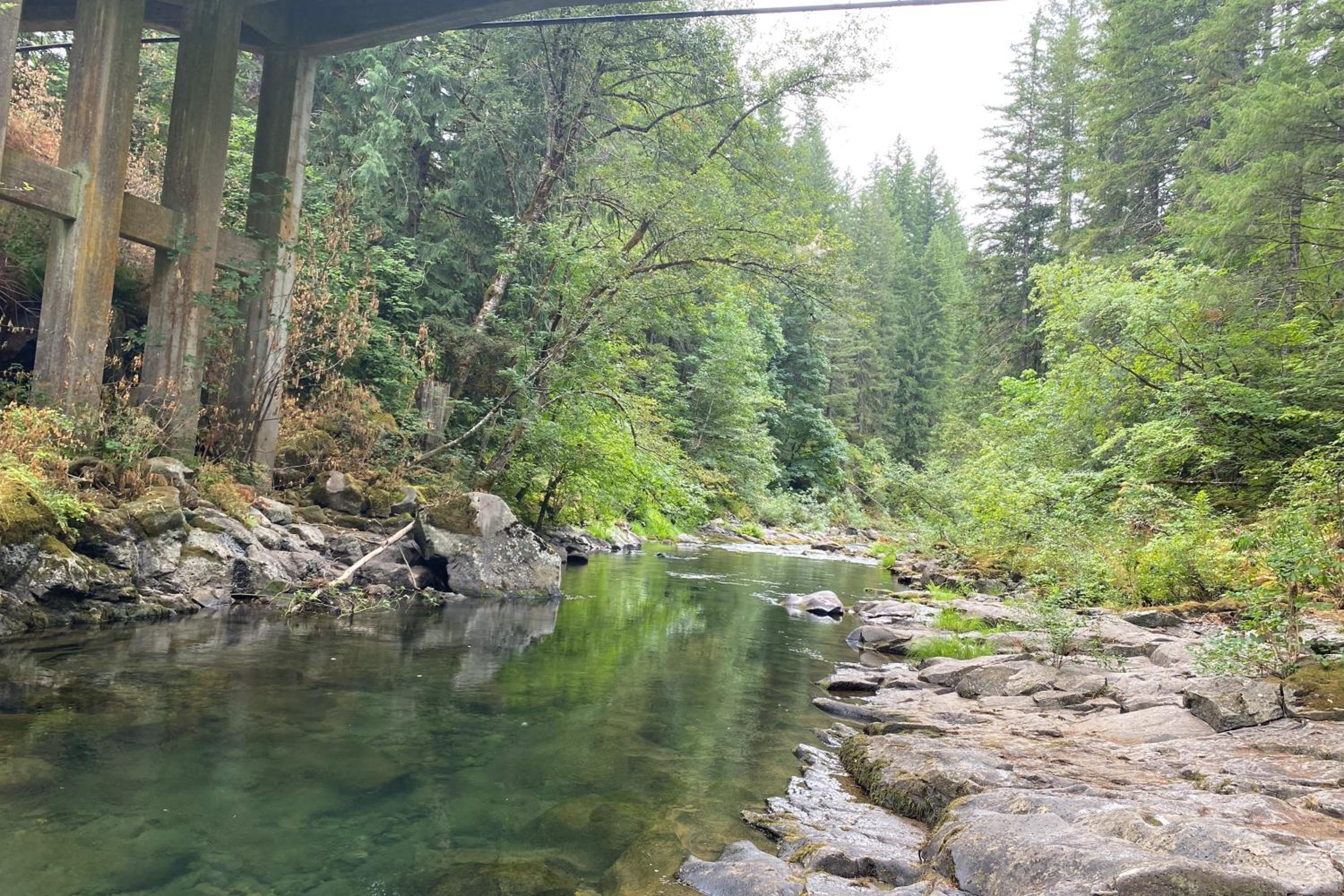 Fire Pit and Mtn Views! Cabin, Steps to Wind River