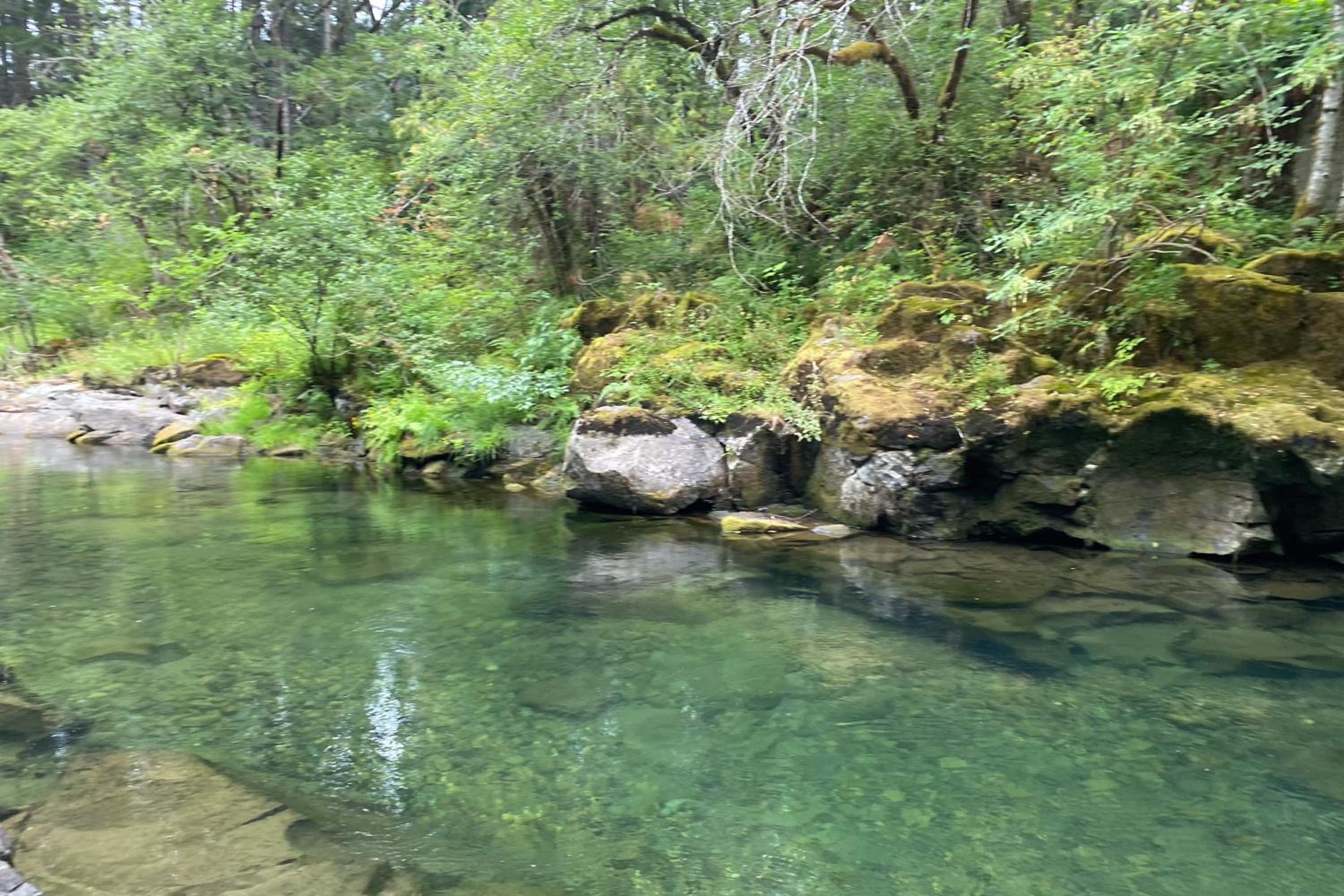 Fire Pit and Mtn Views! Cabin, Steps to Wind River