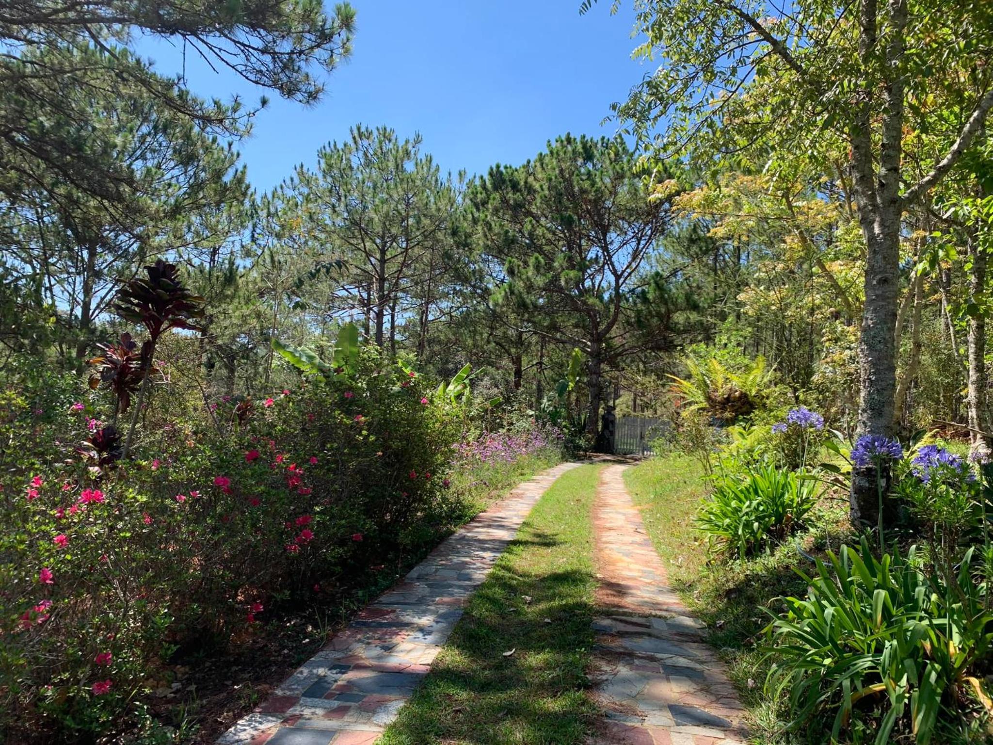 Photo 45