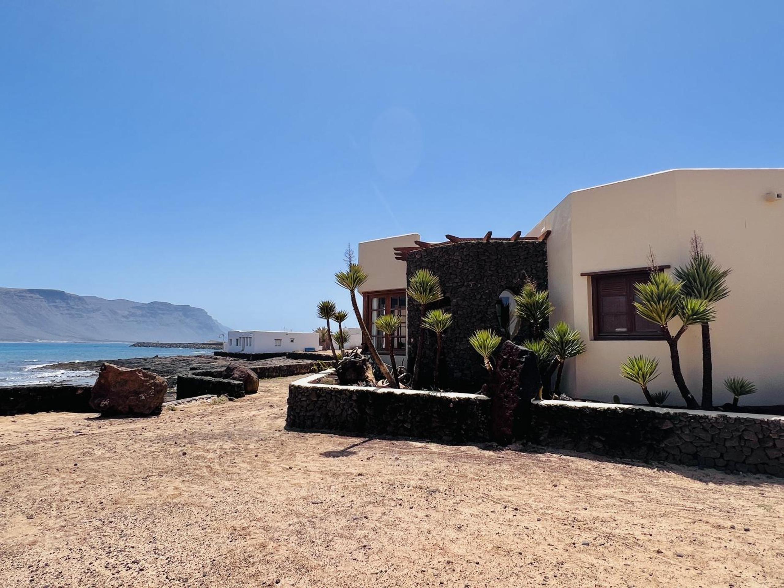 Flor de Cactus, La Graciosa view 3