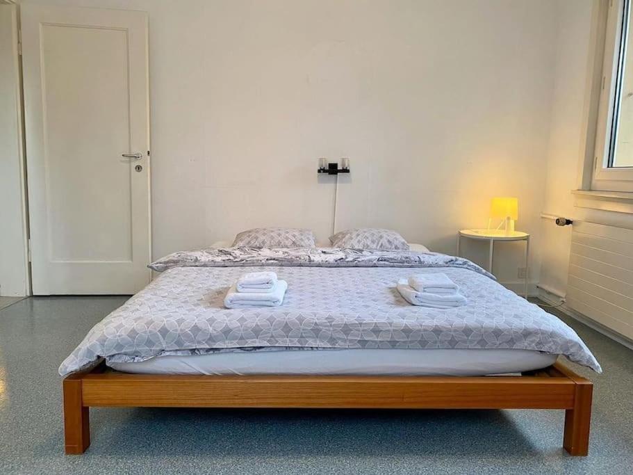 Budget Chalet at Lucerne City!