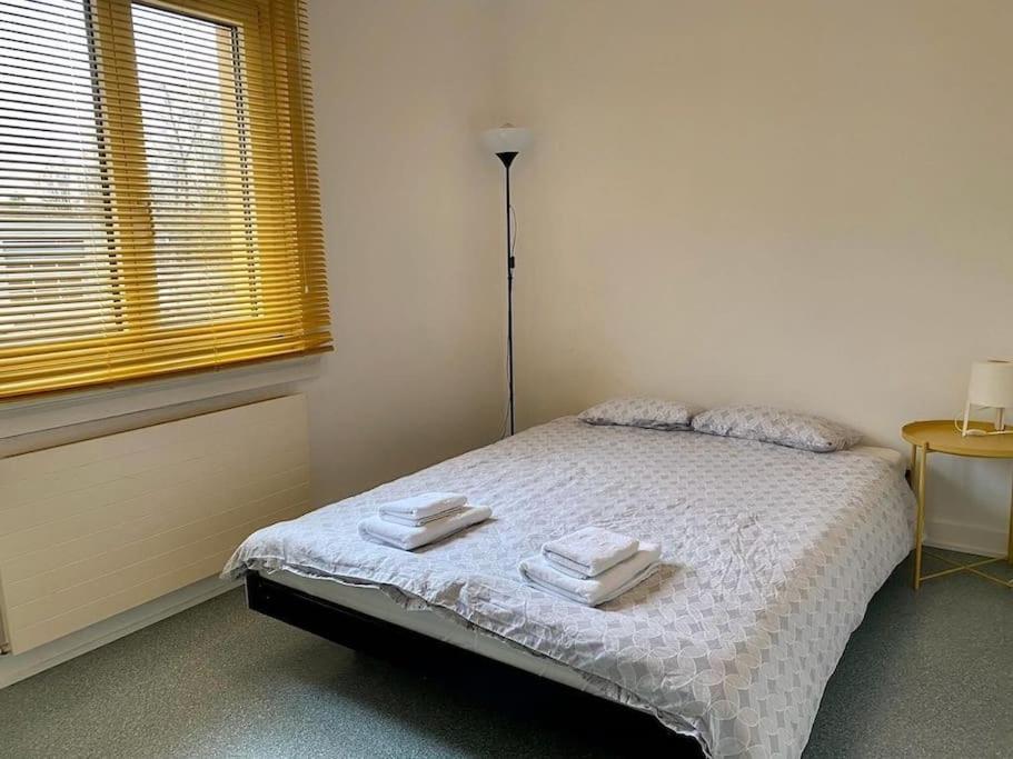 Budget Chalet at Lucerne City!