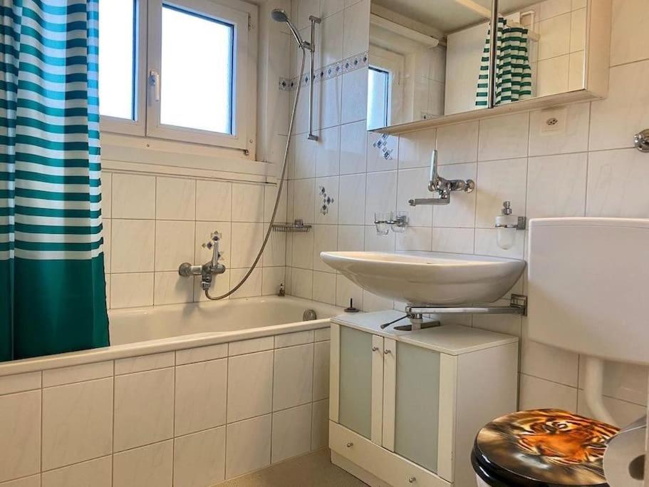 Budget Chalet at Lucerne City!