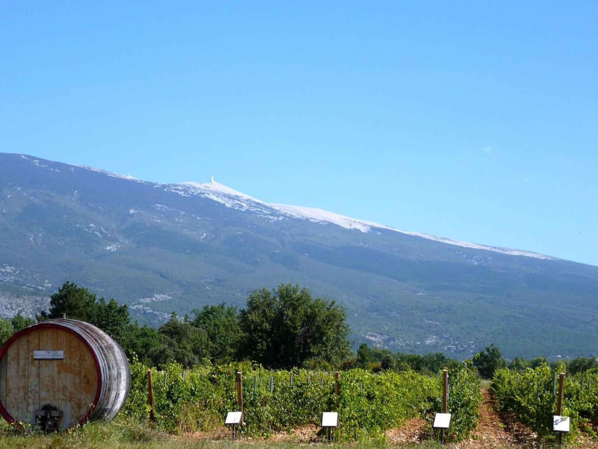 Holiday Home in Provence near Mont Ventoux