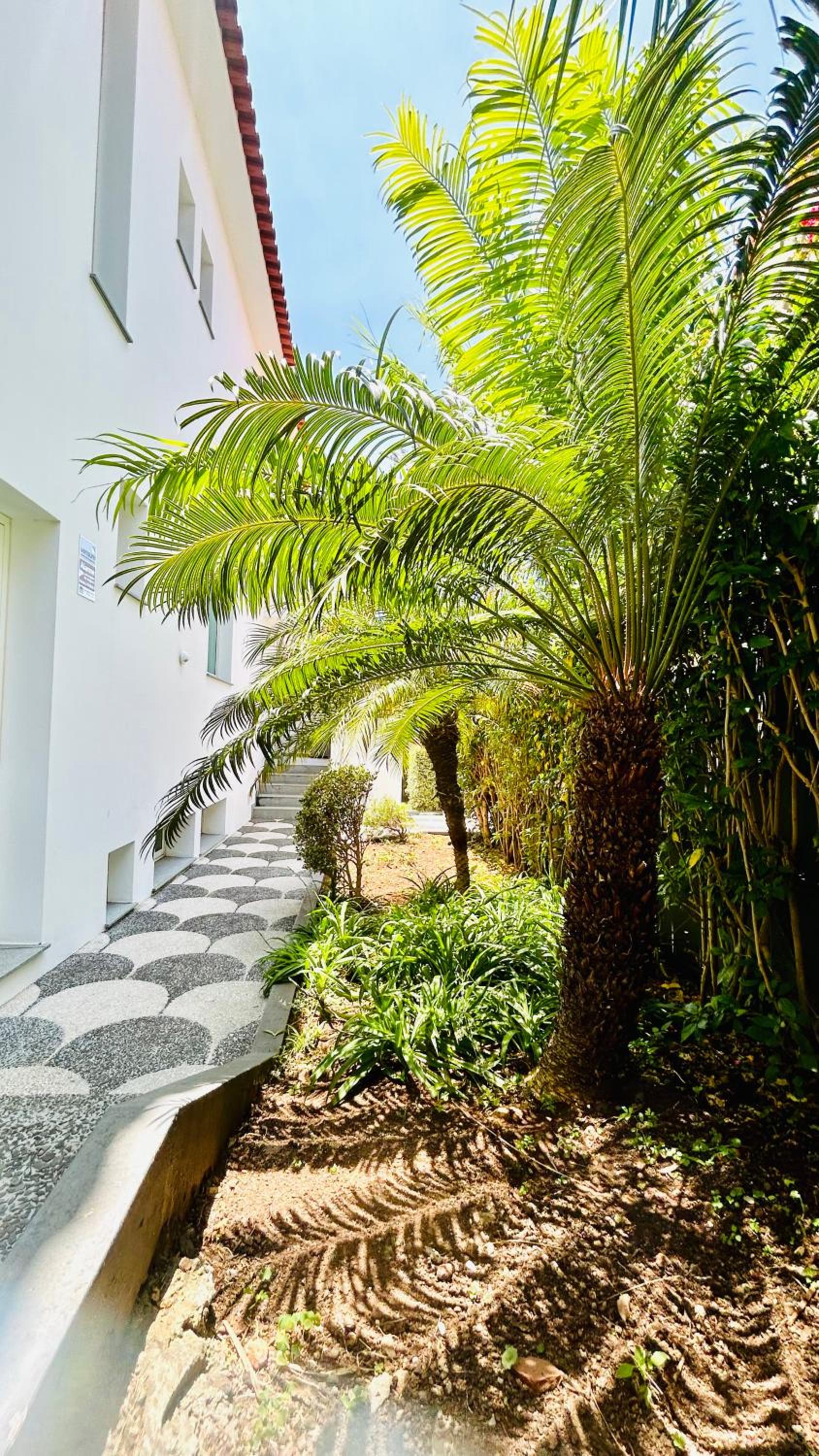 Villa Vera Downtown view 2