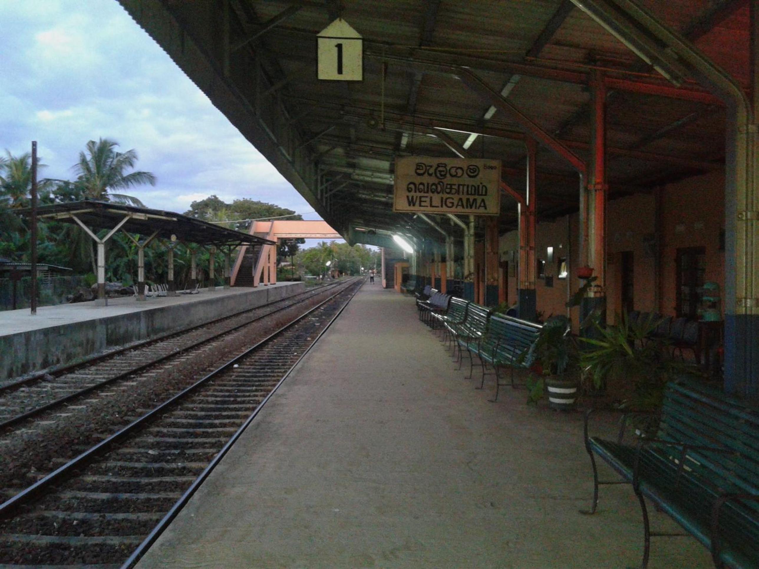 Photo 7