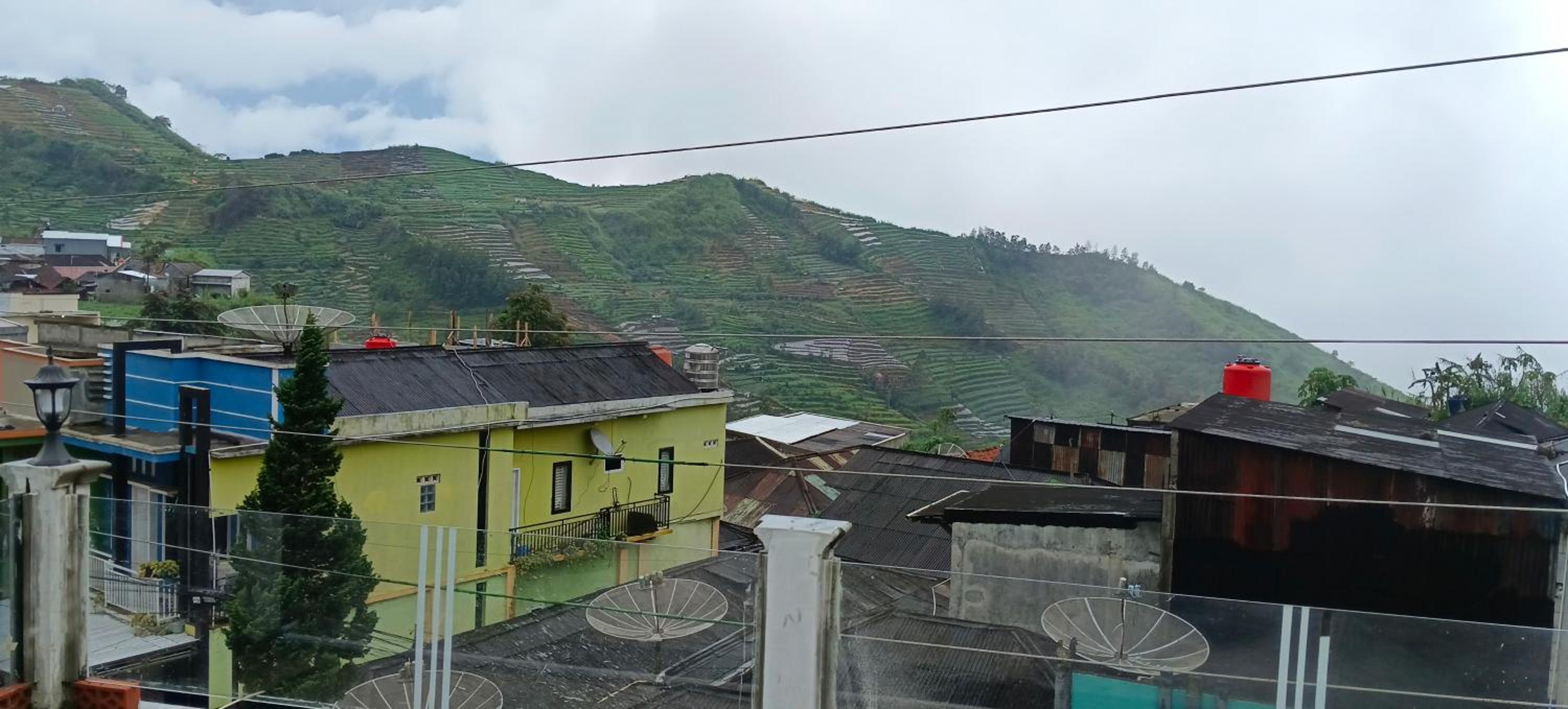 Teras Senja Sikunir Homestay