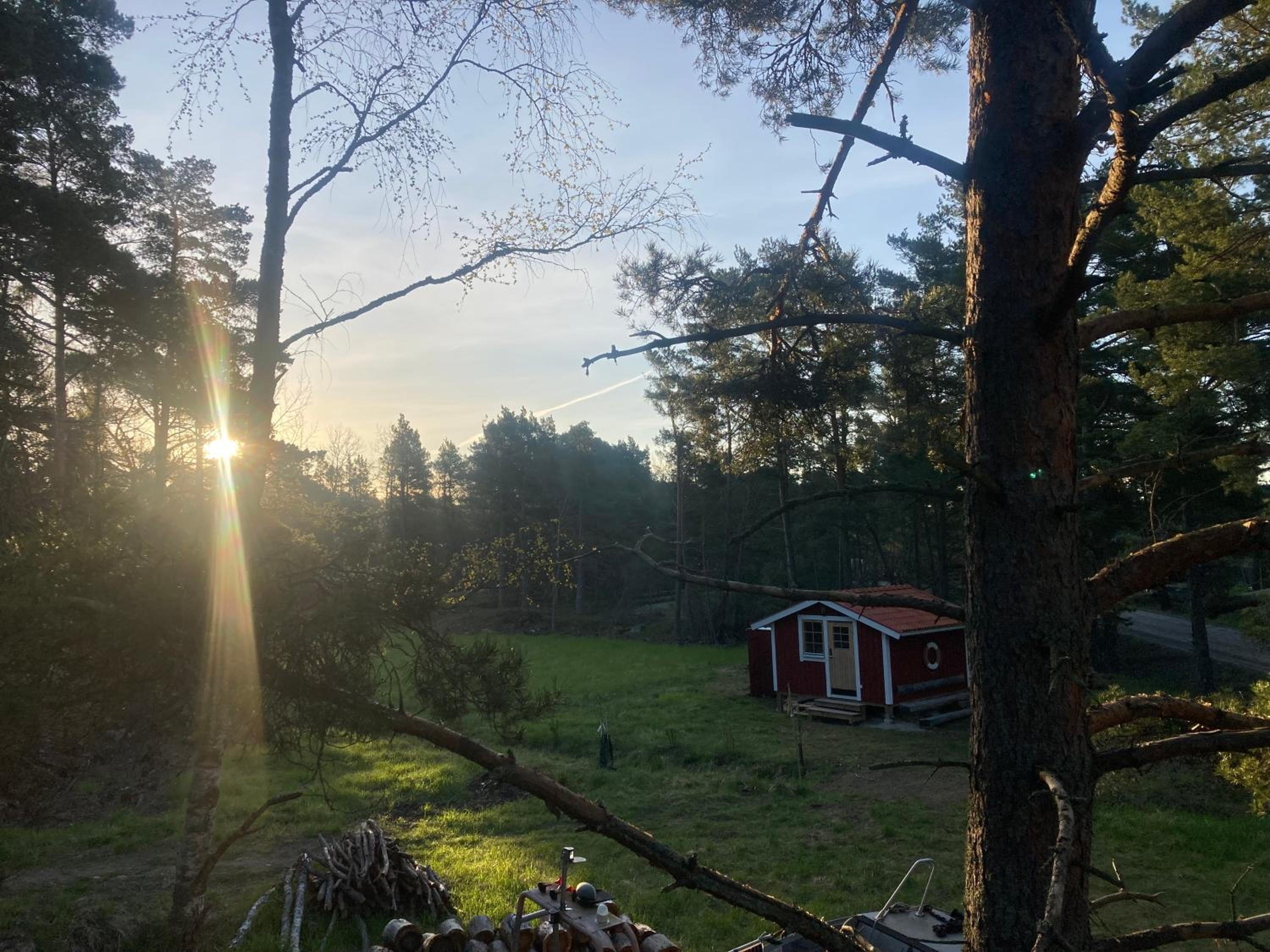 Dunderfriggan på Möja