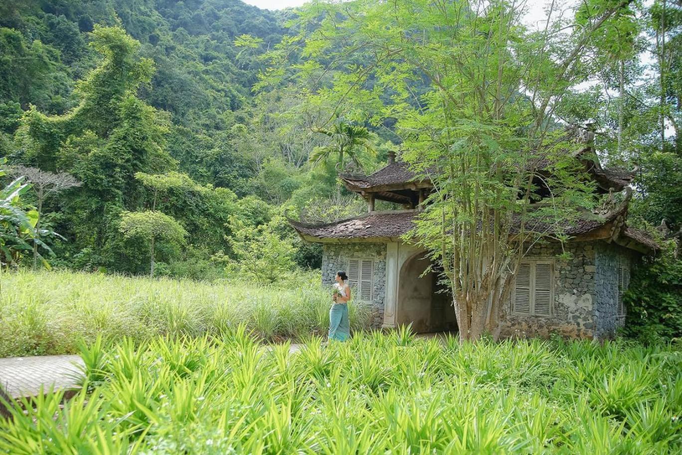 Photo 7