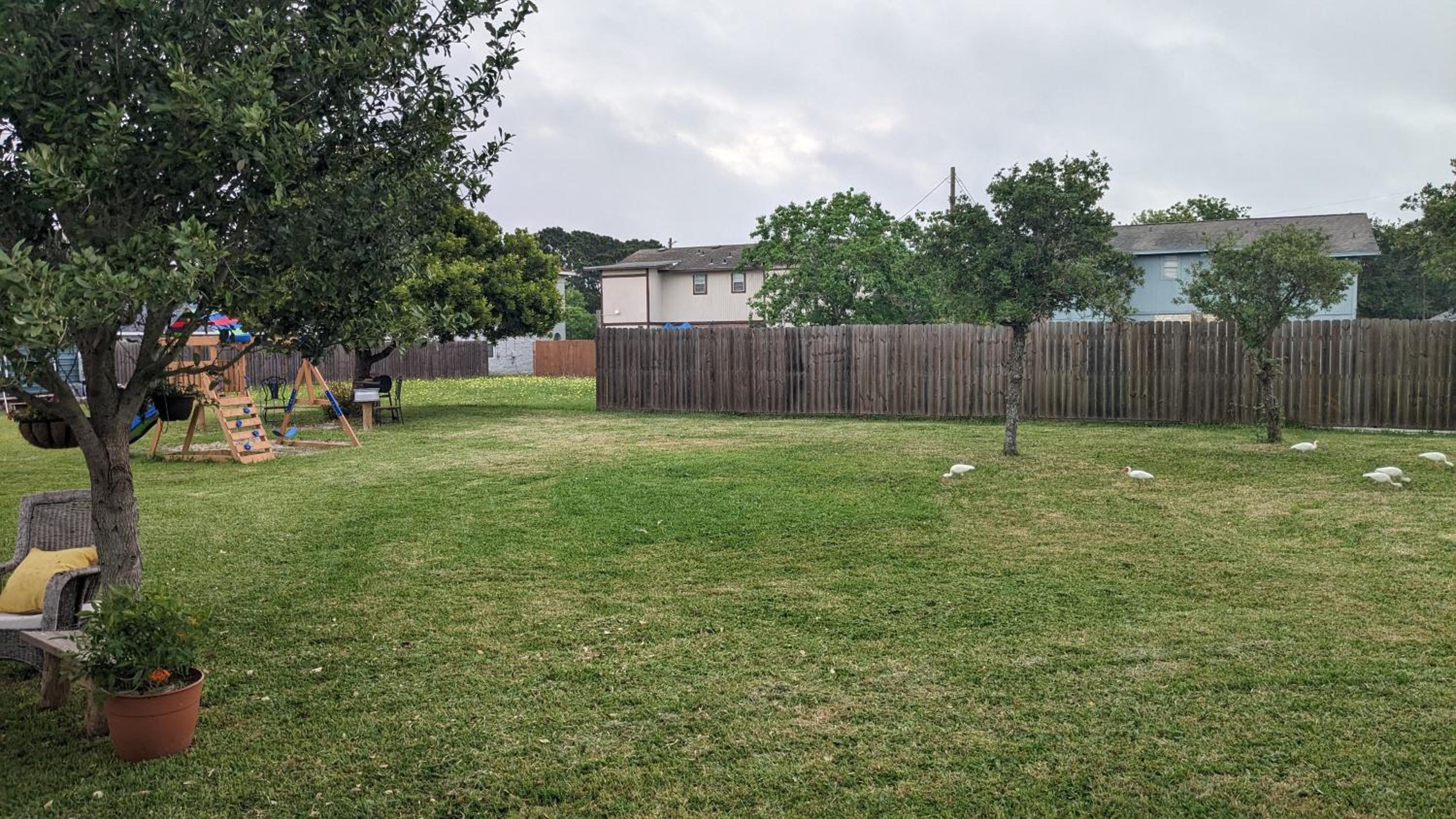 Corpus C Quiet Studio near Laguna Madre