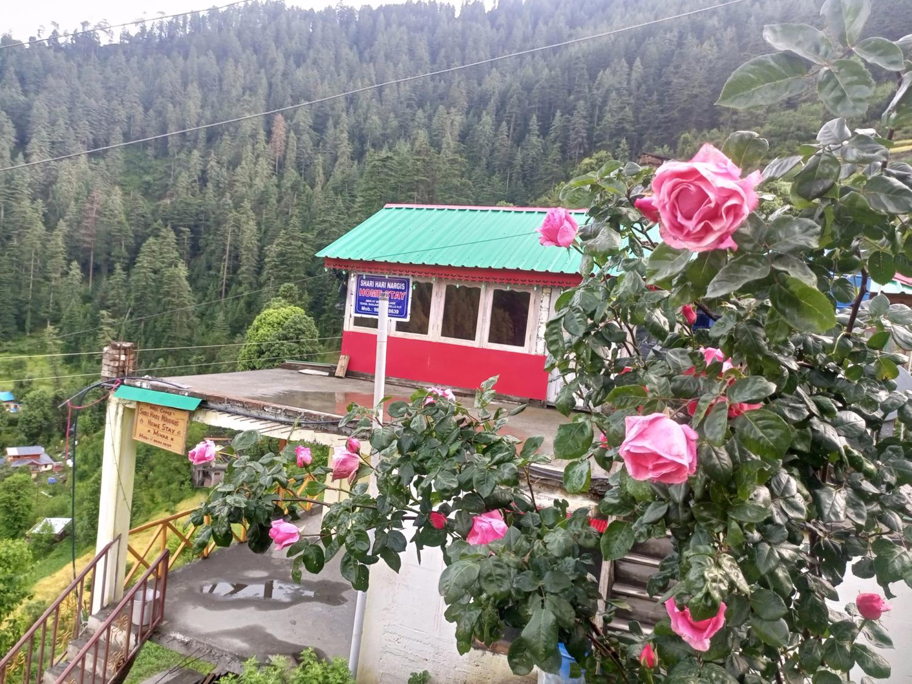 Shri Hari Nargis Home Stay