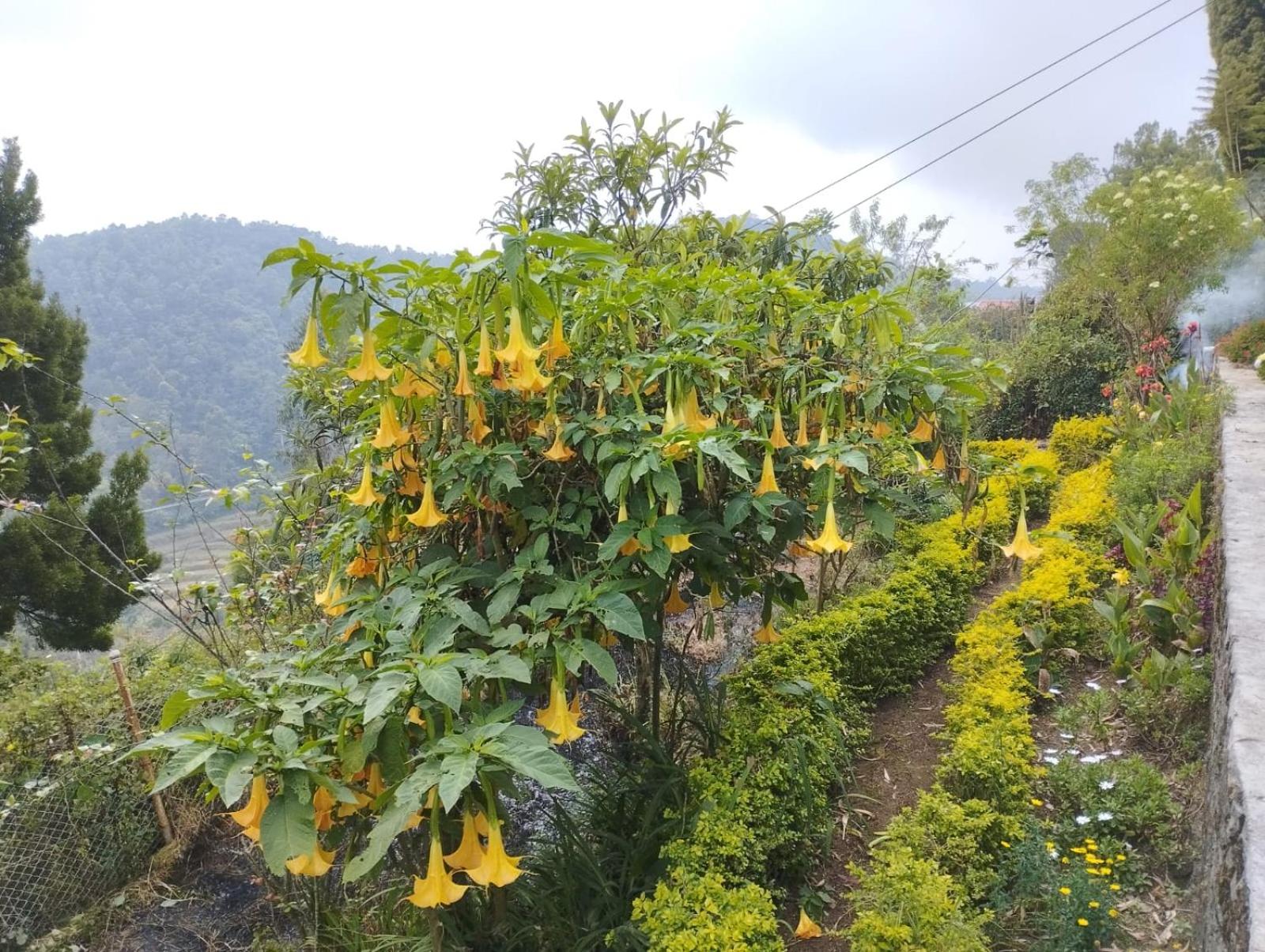 SRIVATSAS KODAI VILLA