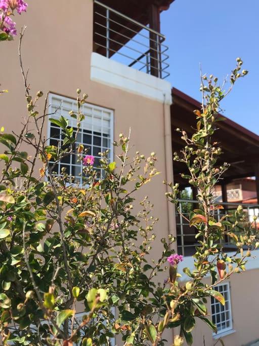 villa Christina I - private grill and bar house - Property Image 11