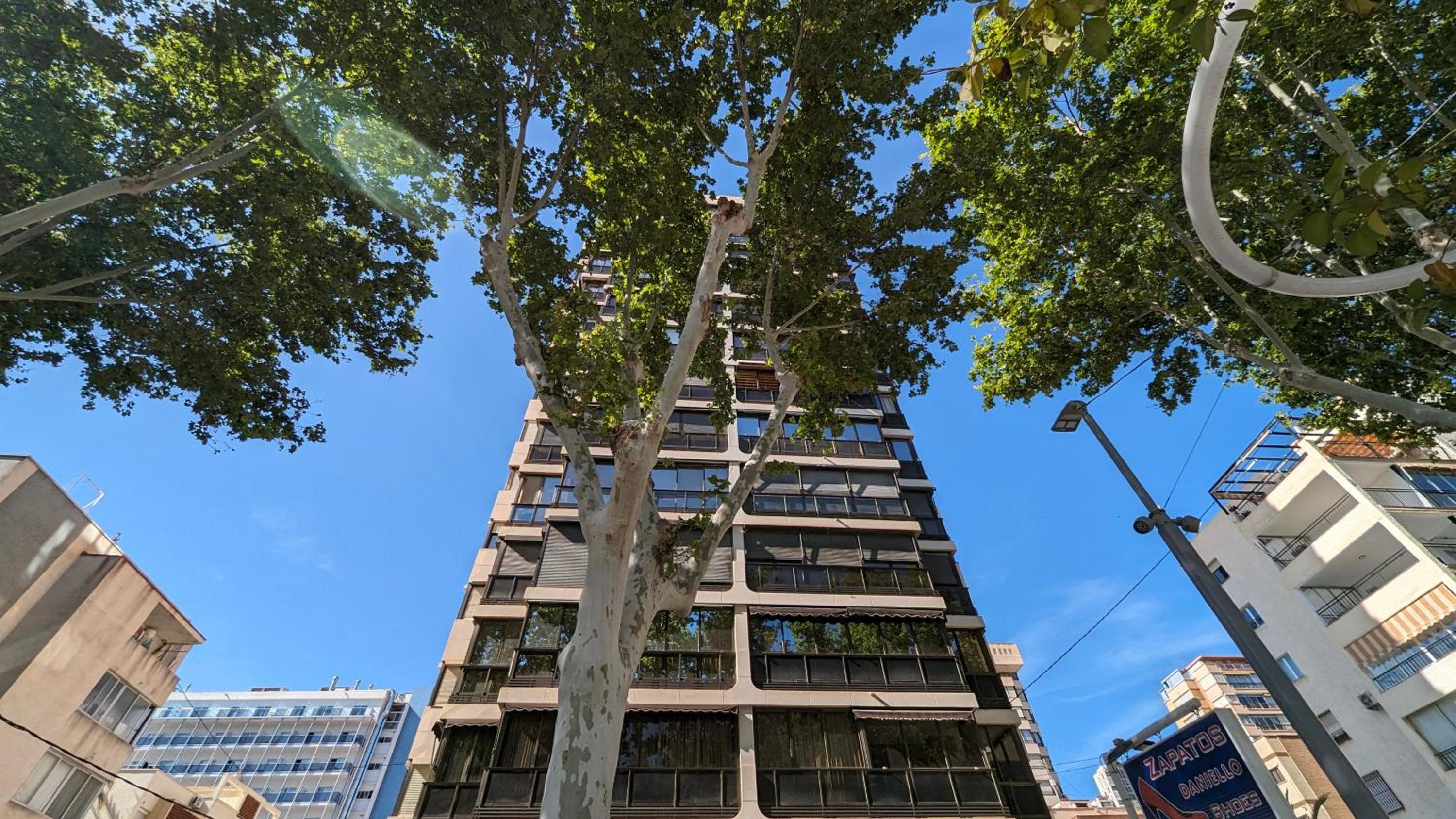 building