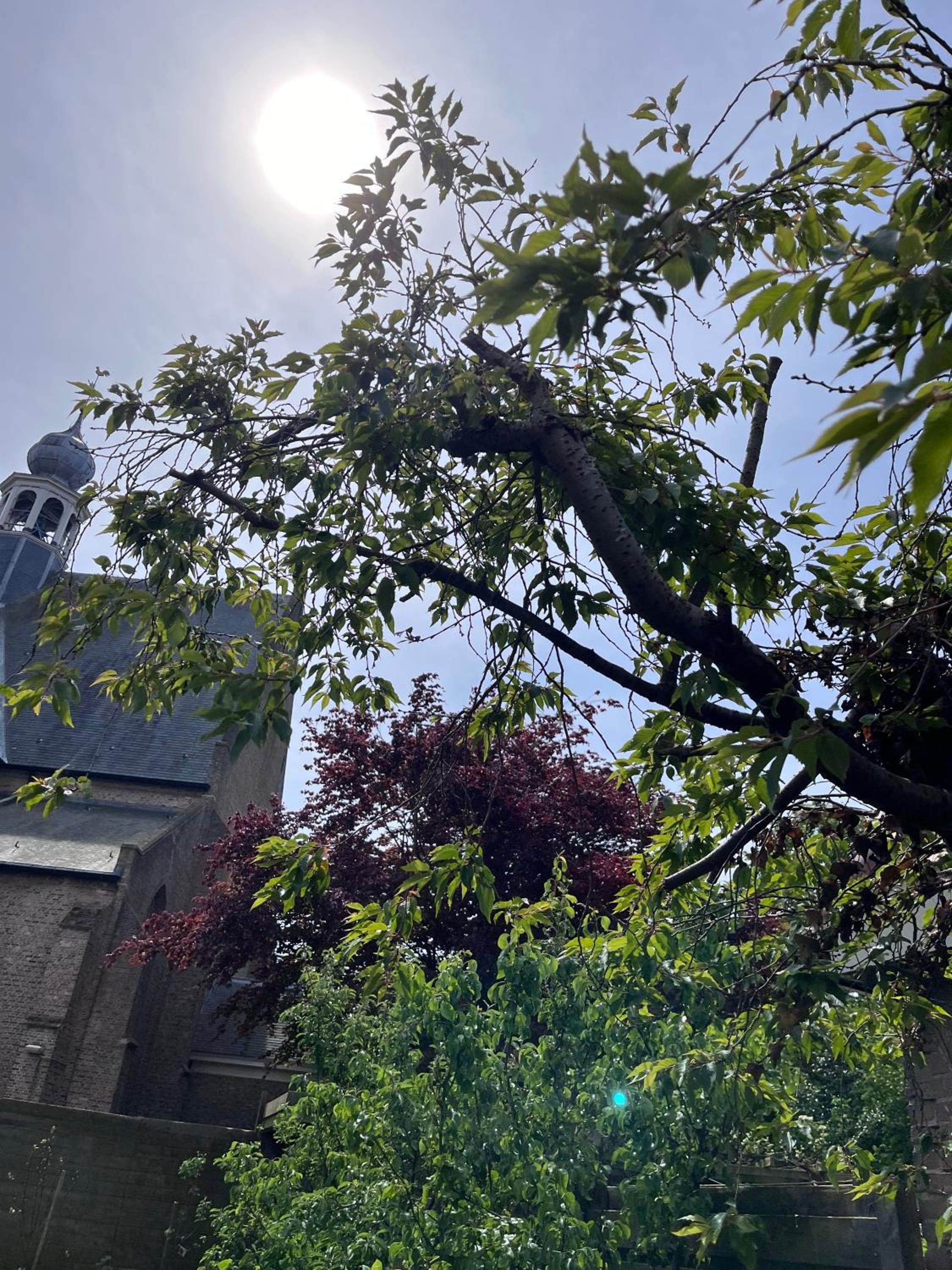 Photo 28