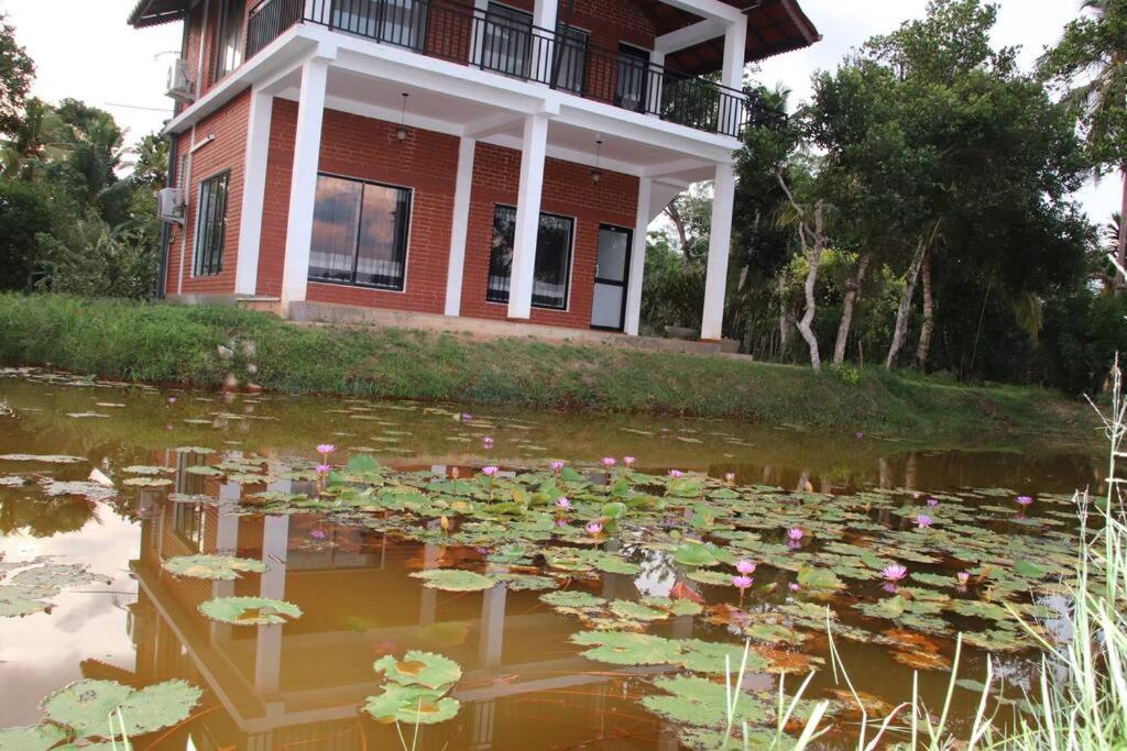 Water Lily Talpe view 3