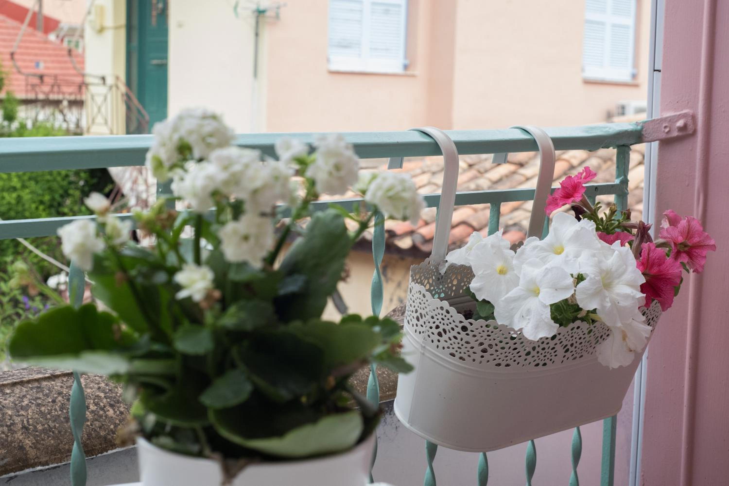 La Casa Rosa view 3
