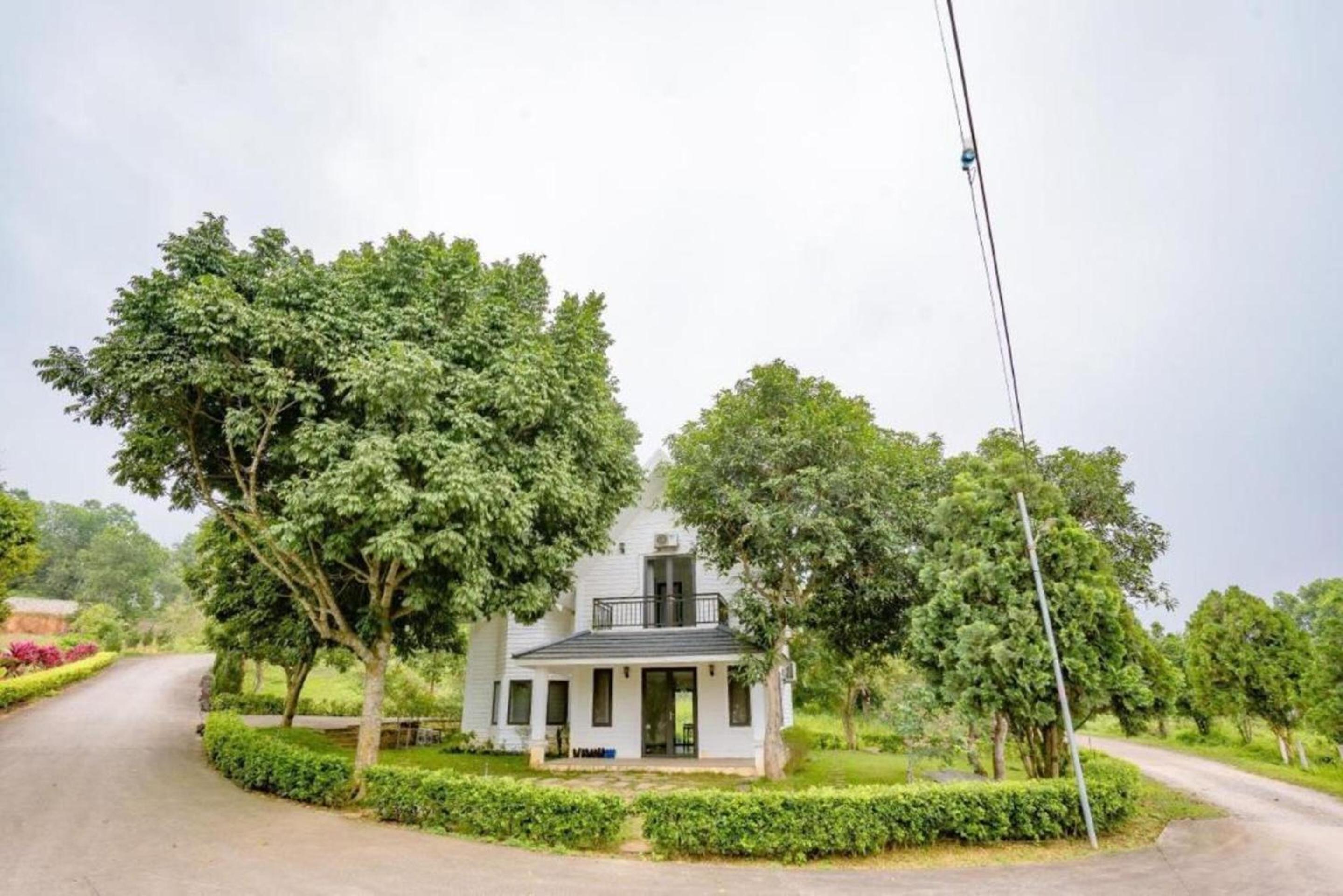 Maryland Garden - Venustay