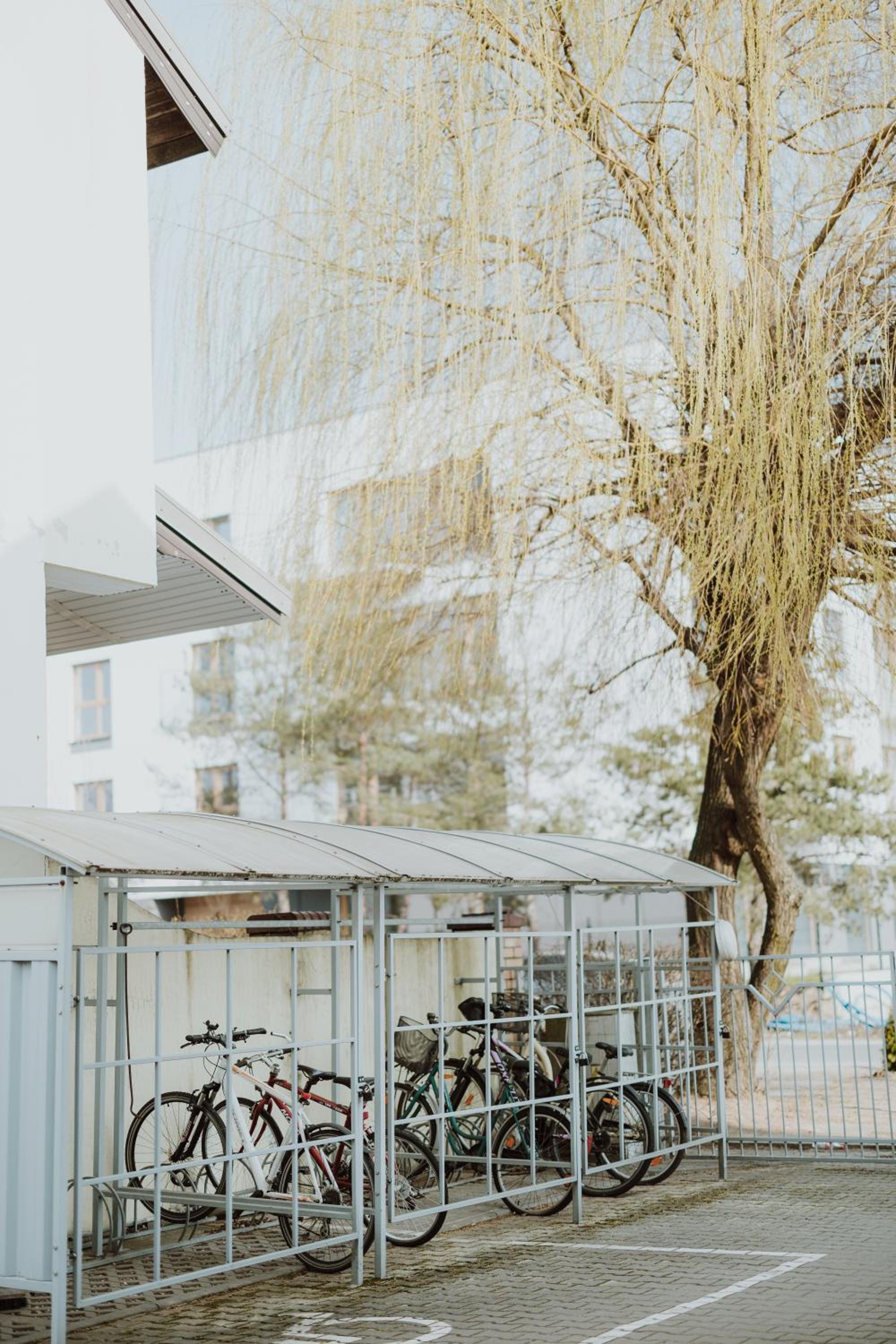 Photo 29