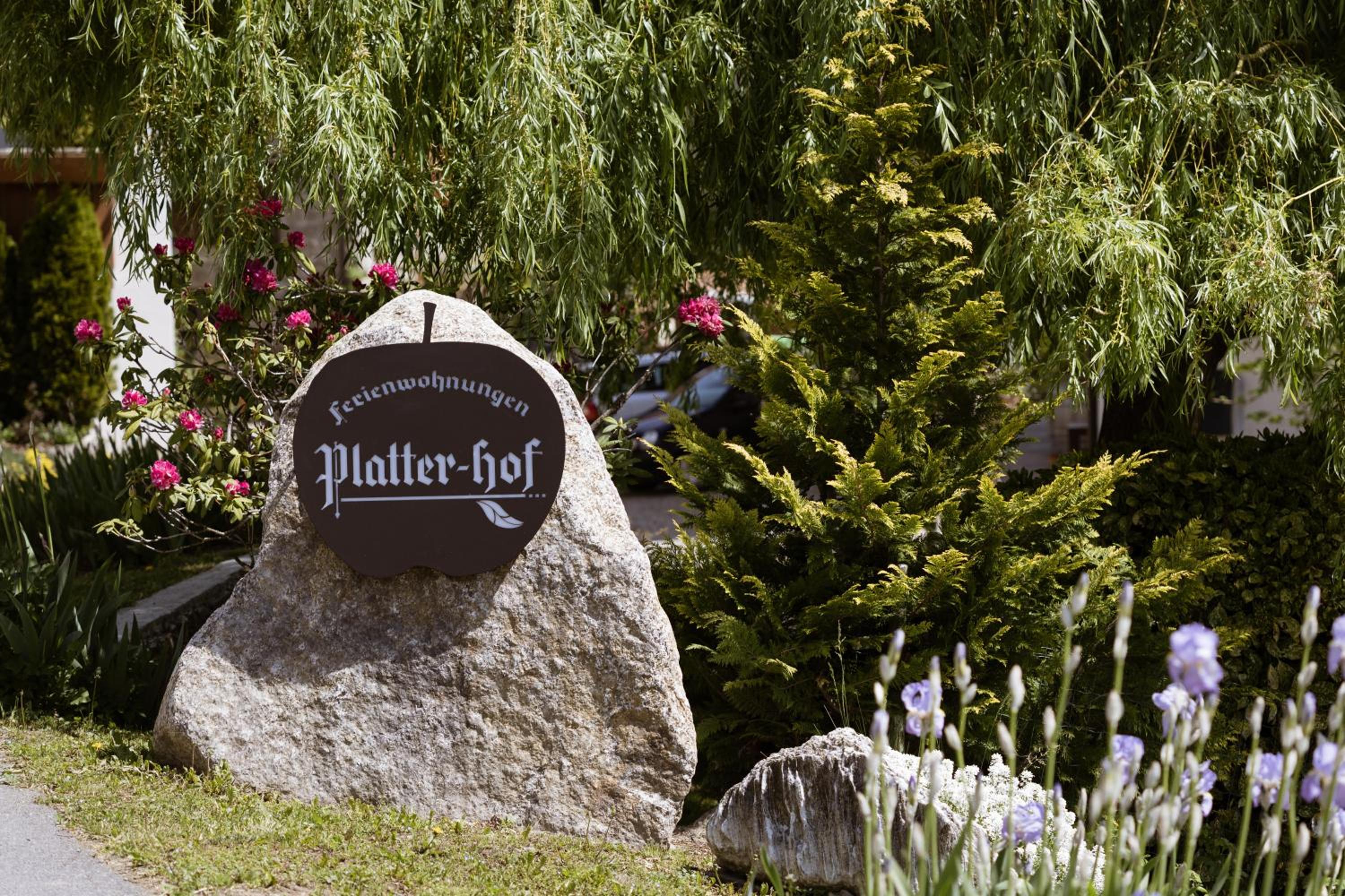 Platterhof view 2
