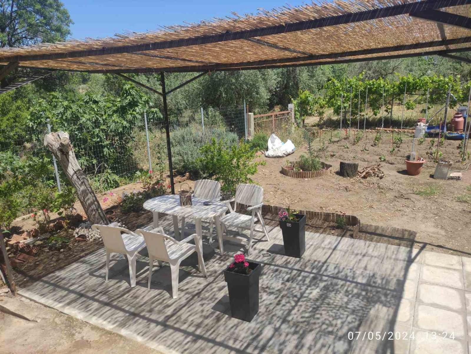 Vaso apartment Limenaria Thasos