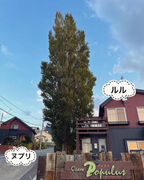 other