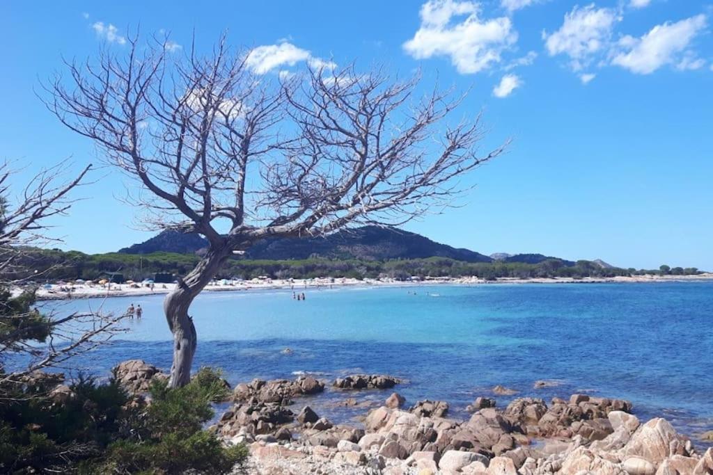 VILLA PIETRAMARINA CALA LIBEROTTO appartamento 5 posti view 4