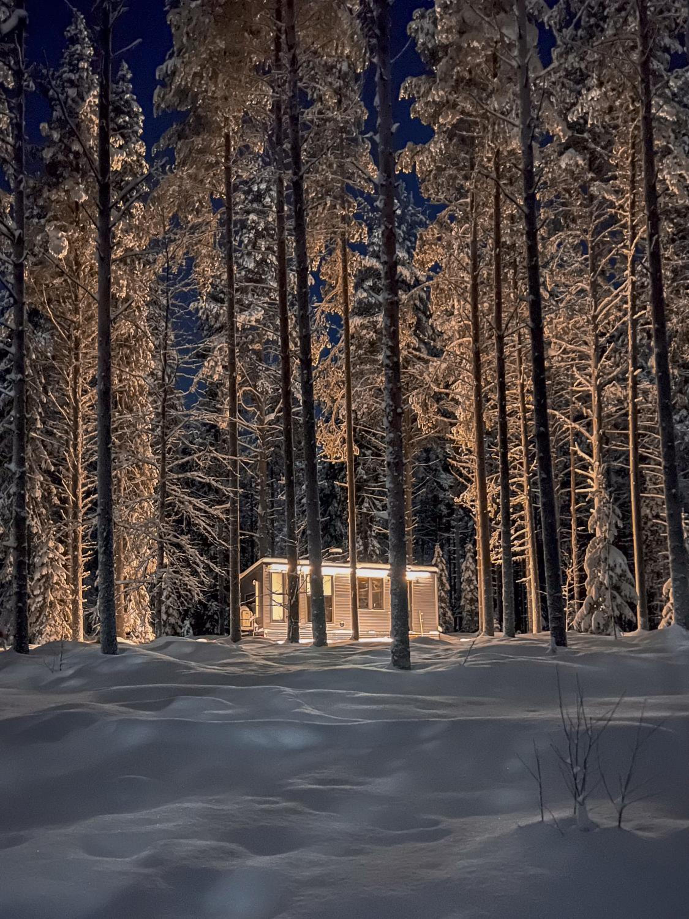 Kotatuli Forest Lodge