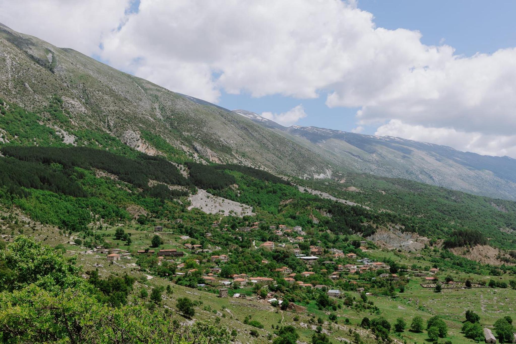 Bujtina Anesi