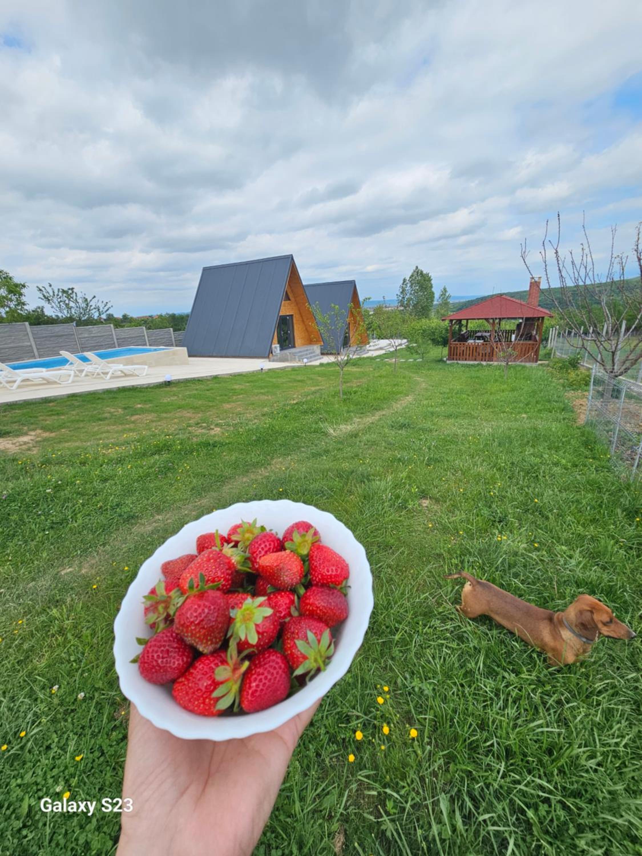 Wild A-frame view 2