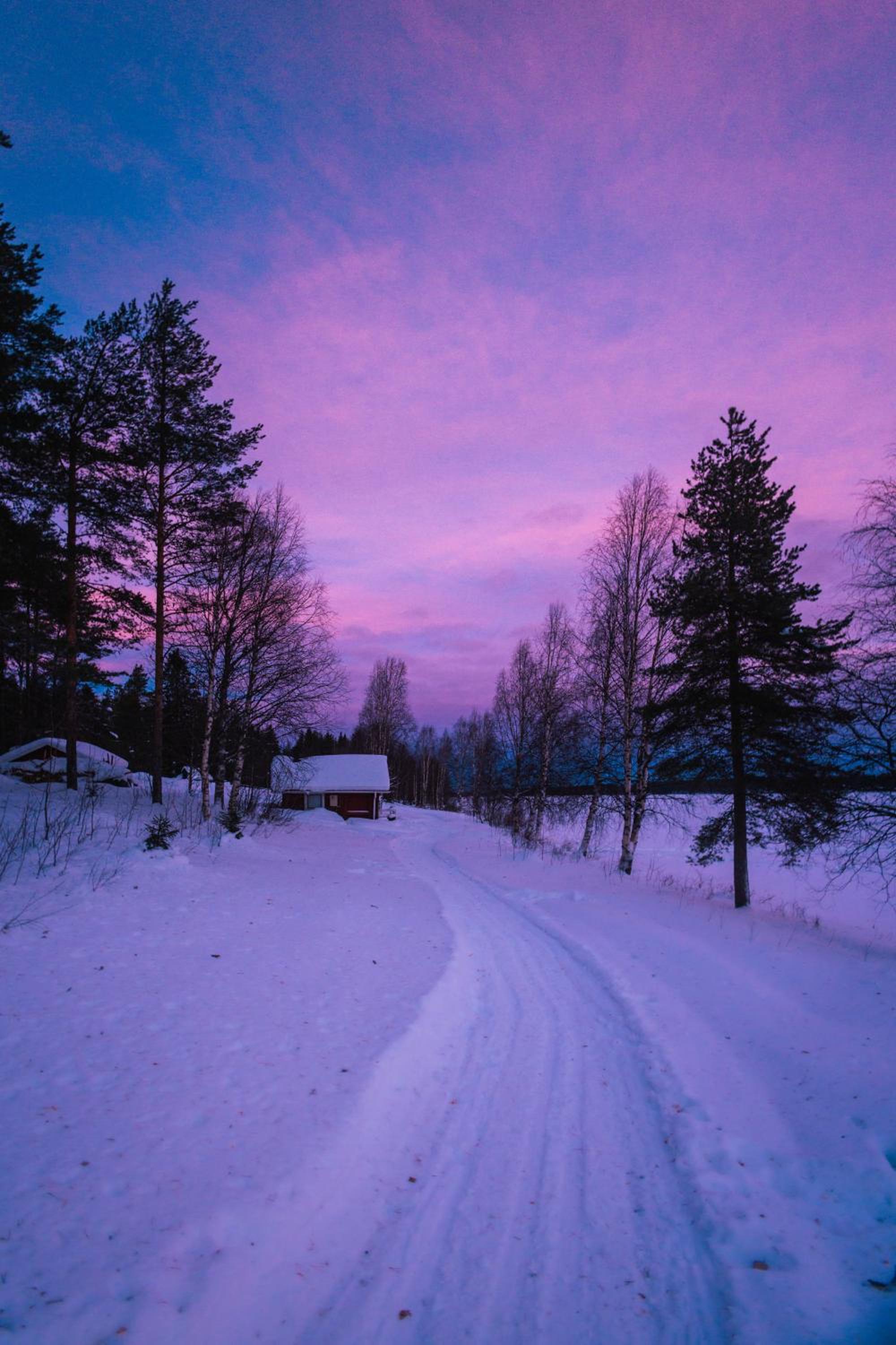 Kotatuli Forest Lodge