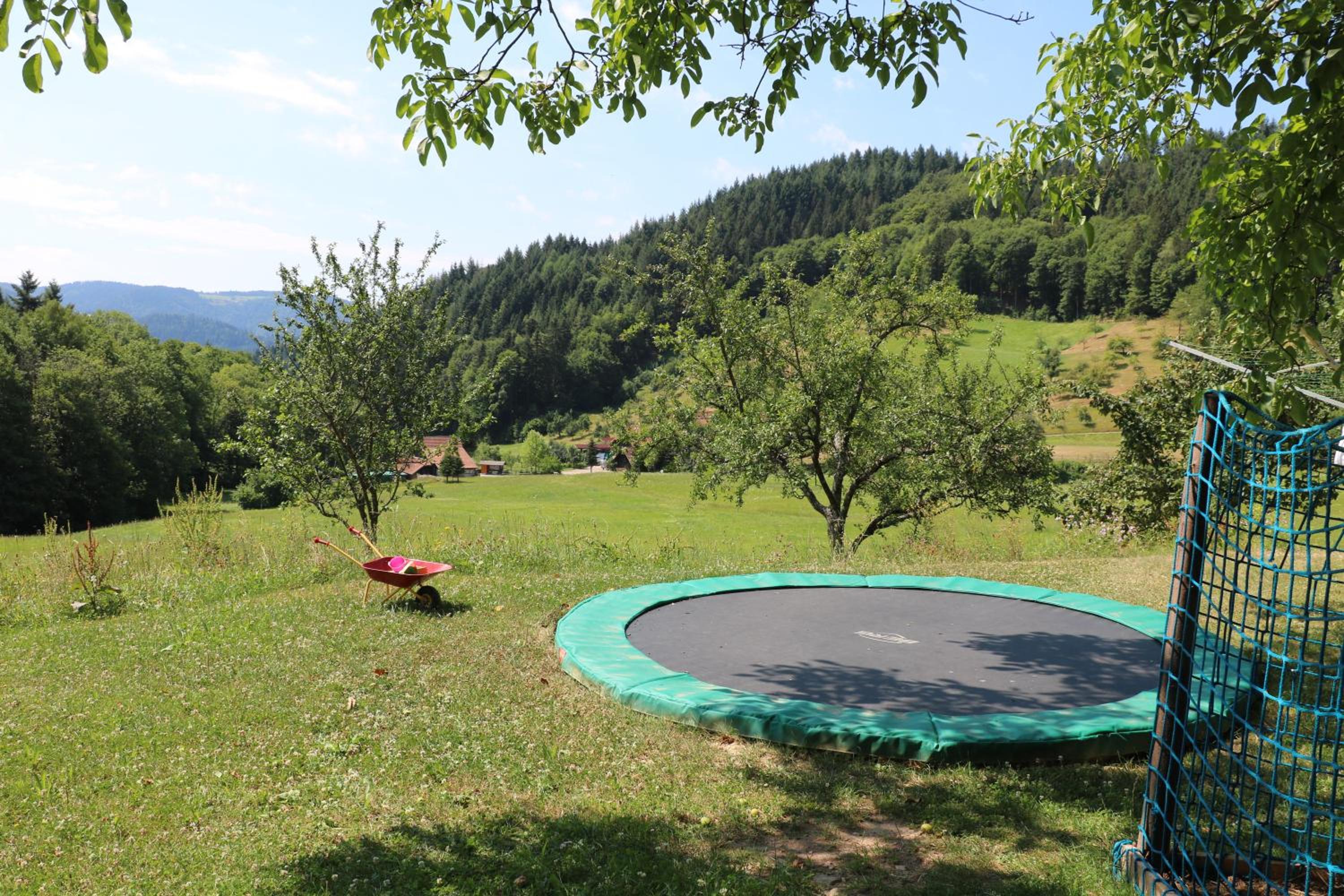 Kasimir Hof