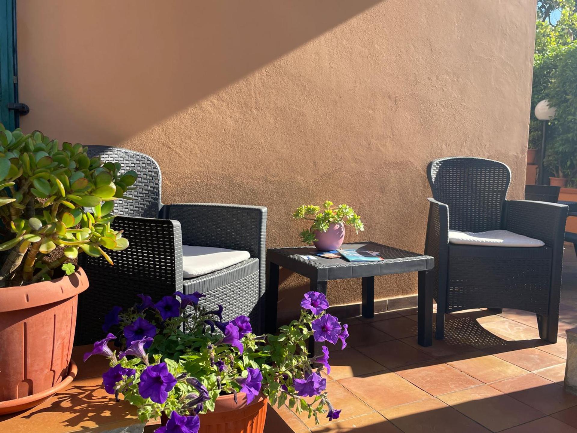 balance & terrace