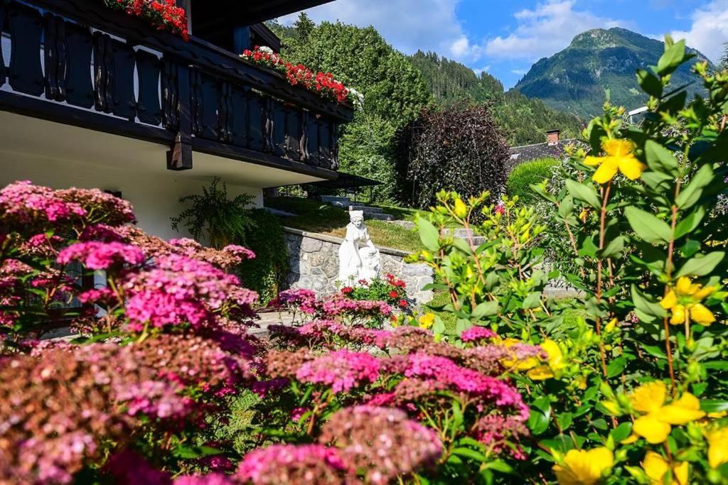 Apartment Rotbühlspitze