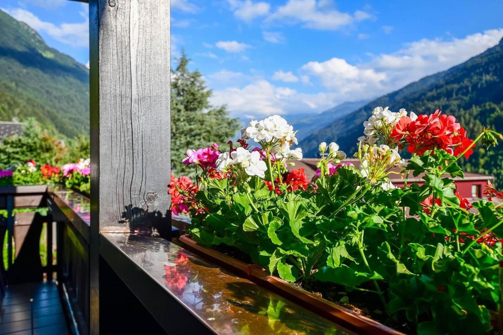 Apartment Rotbühlspitze