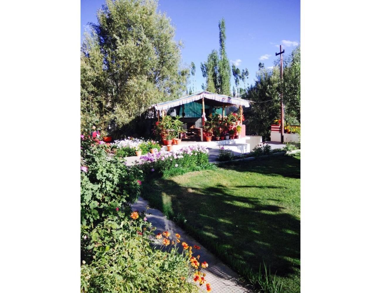 Photo 19