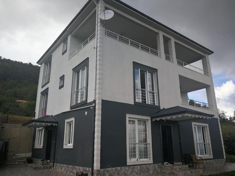 Photo 48