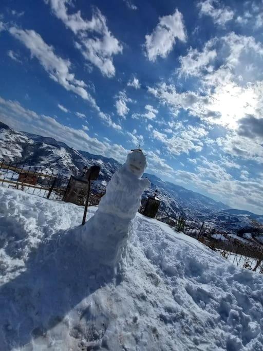 Photo 36