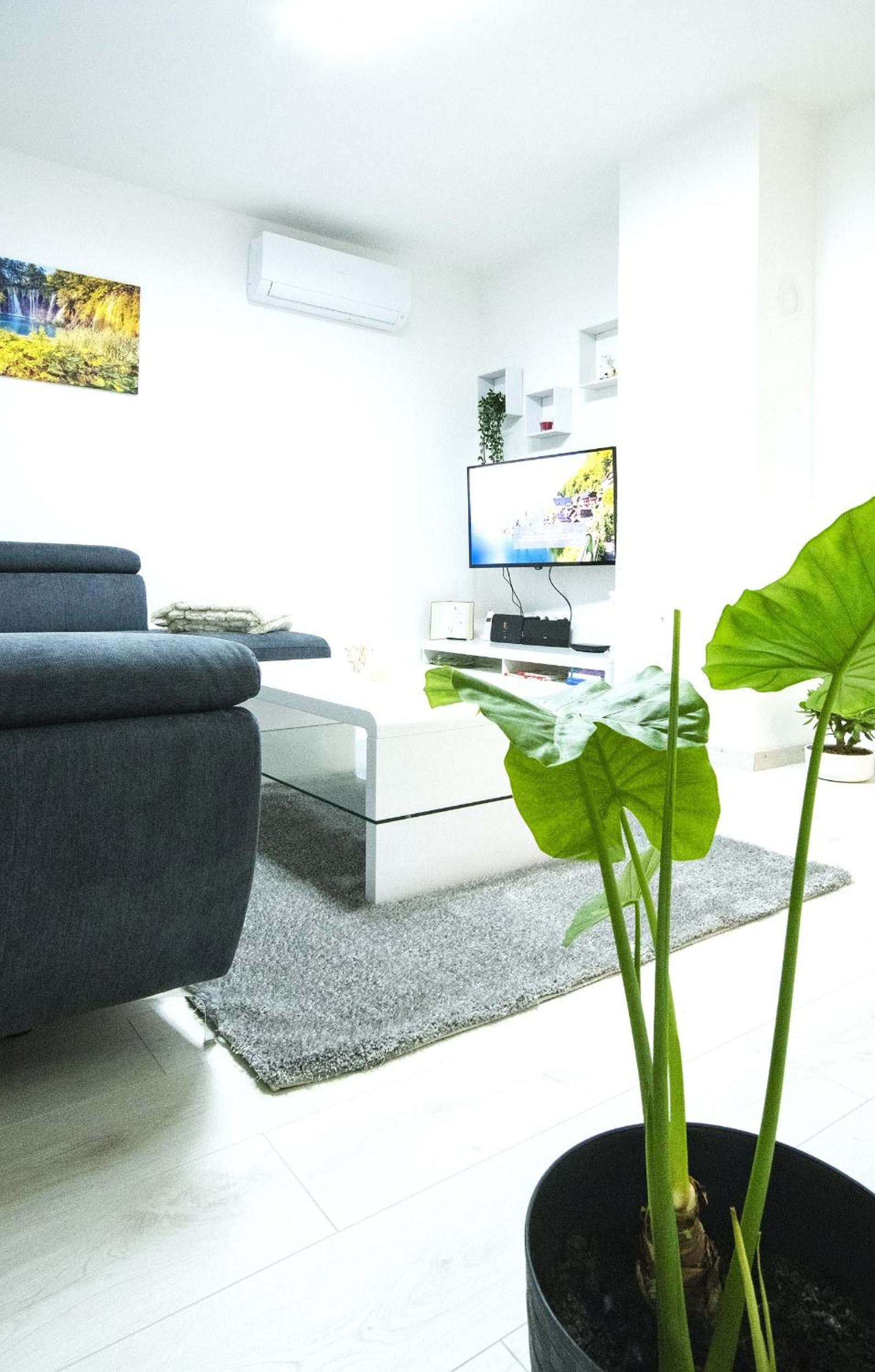 Green Oasis view 4