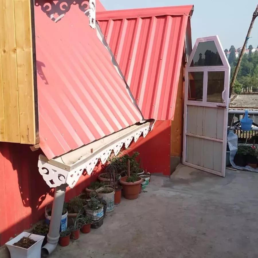 Cozy Nest Homestay view 2