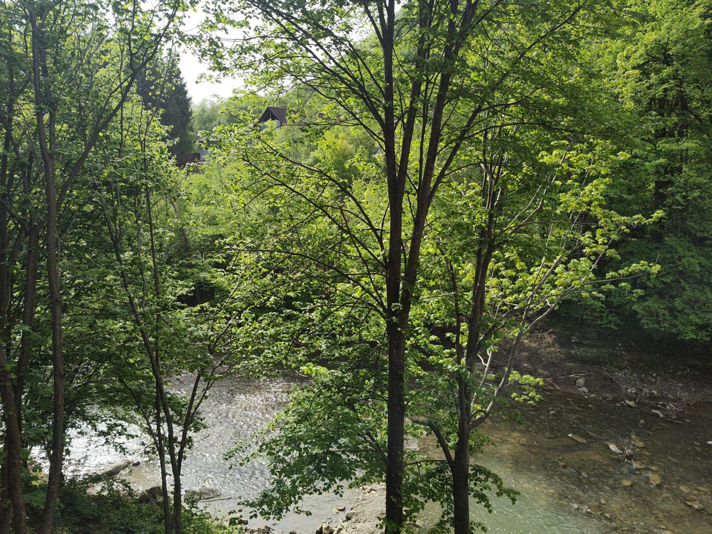 SEZATOAREA LUPILOR view 4