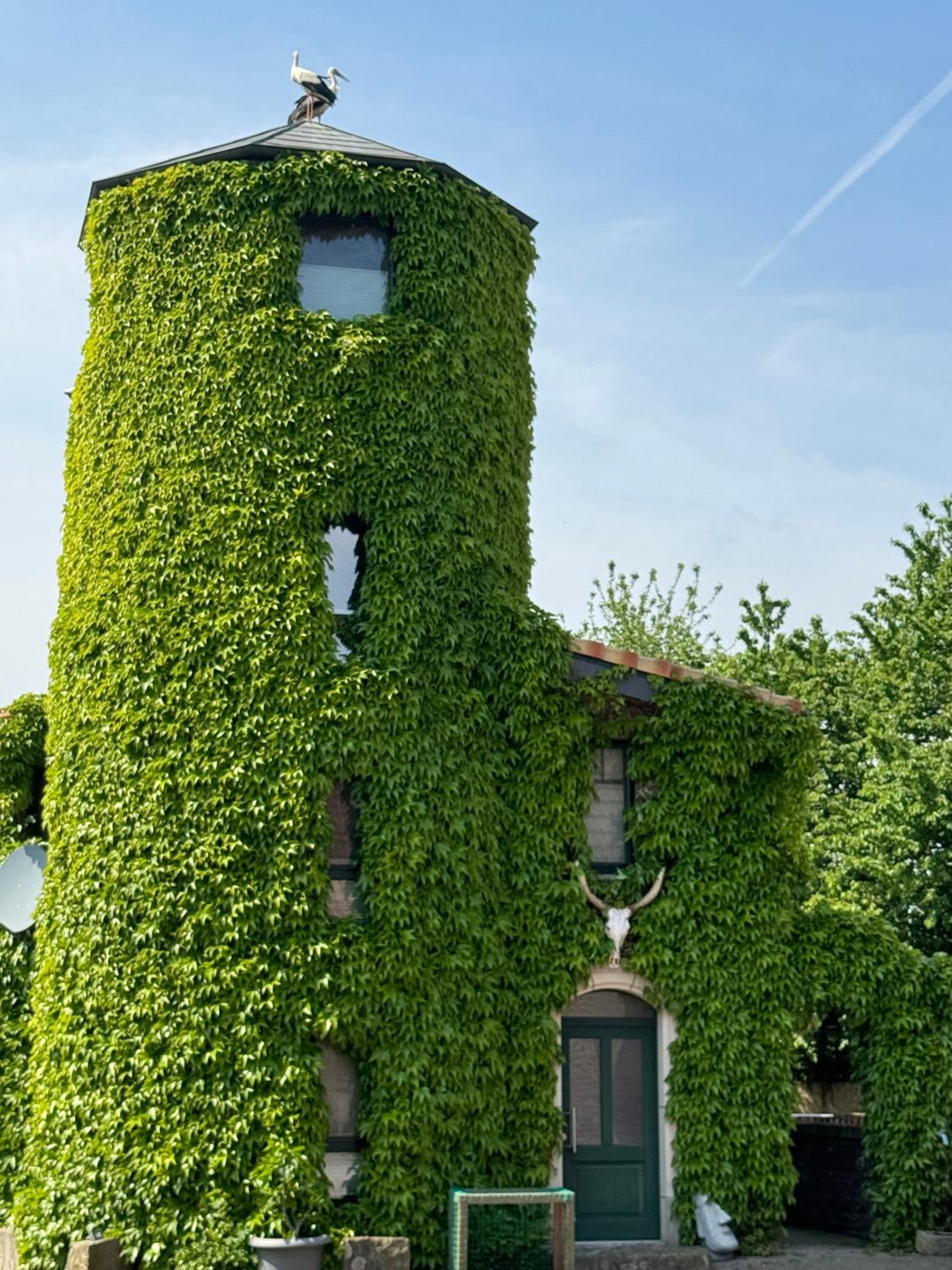 building