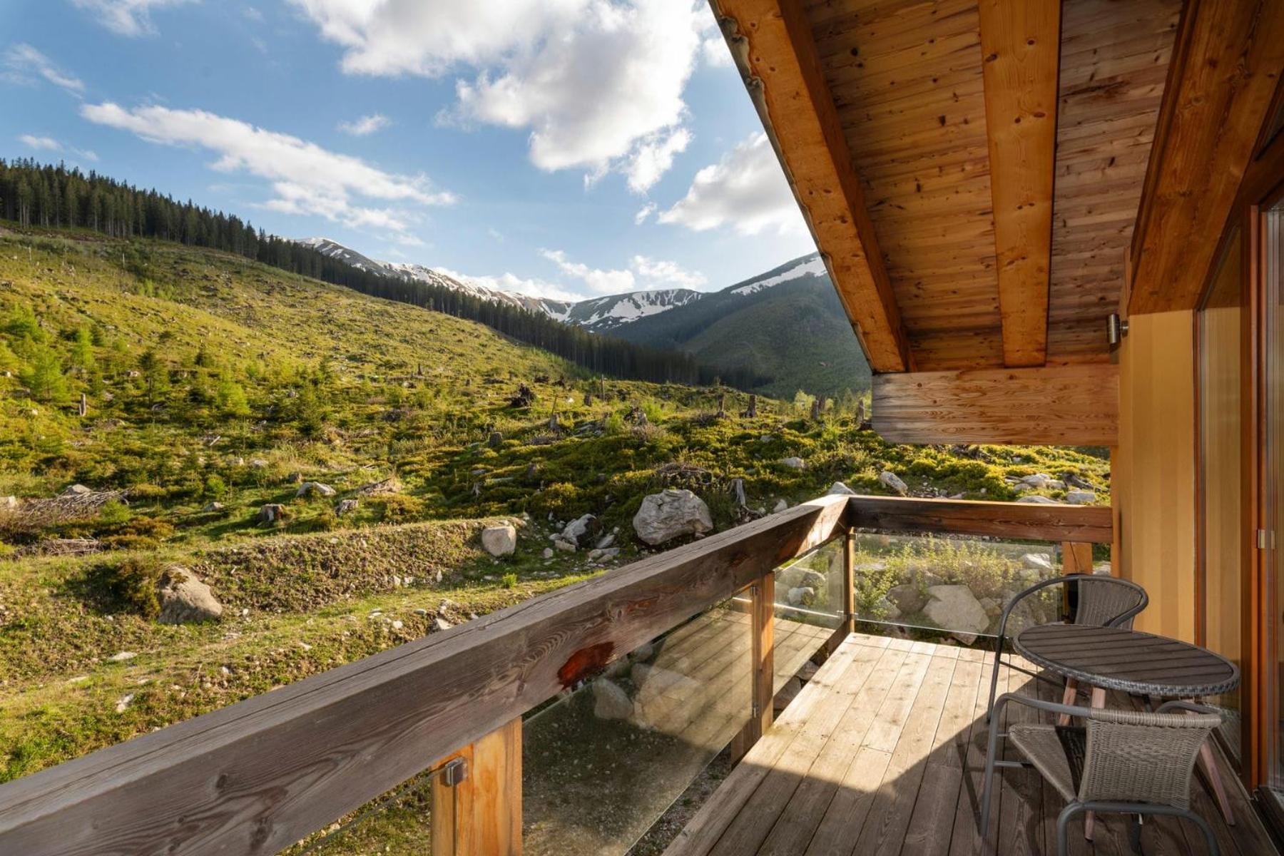 DaSus Lux&Wellness Apartments - Ski In Ski Out - The Best position in Jasna view 4